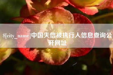 白沙中国失信被执行人信息查询公开网址