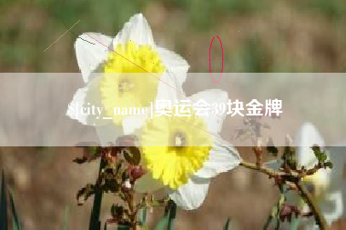 白沙奥运会39块金牌