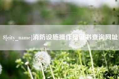 白沙消防设施操作员证书查询网址