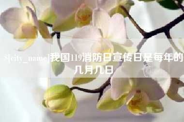 白沙我国119消防日宣传日是每年的几月几日
