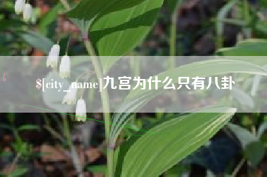 白沙九宫为什么只有八卦