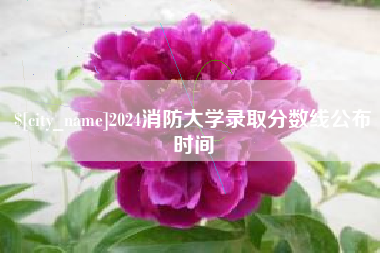 白沙2024消防大学录取分数线公布时间