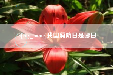 白沙我国消防日是哪日