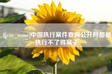 白沙中国执行案件查询公开网都是执行不了得案子