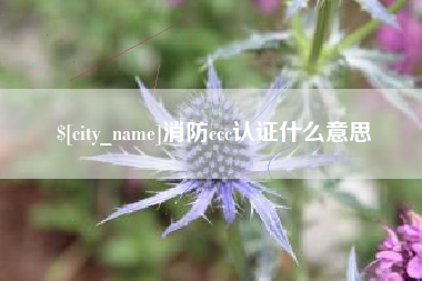 白沙消防ccc认证什么意思
