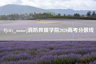 白沙消防救援学院2020高考分数线