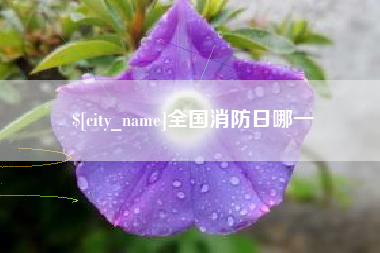 白沙全国消防日哪一