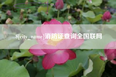 白沙消防证查询全国联网