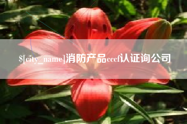 白沙消防产品cccf认证询公司