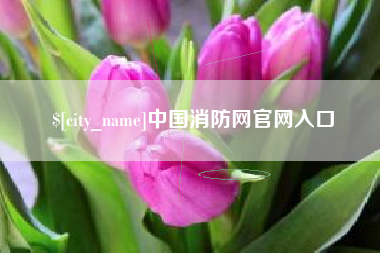 白沙中国消防网官网入口