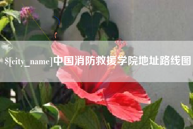 白沙中国消防救援学院地址路线图