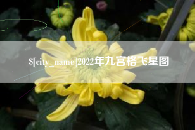 白沙2022年九宫格飞星图
