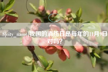 白沙我国的消防日是每年的11月9日对吗？
