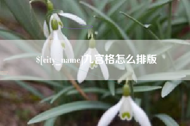 白沙九宫格怎么排版