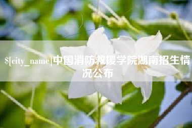 白沙中国消防救援学院湖南招生情况公布