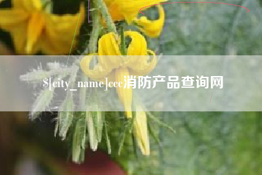 白沙ccc消防产品查询网