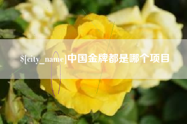 白沙中国金牌都是哪个项目