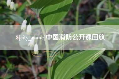 白沙中国消防公开课回放