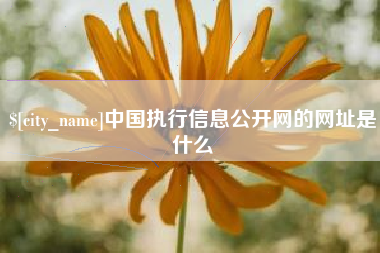白沙中国执行信息公开网的网址是什么