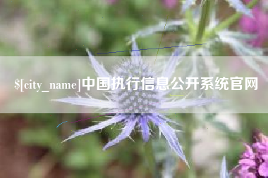 白沙中国执行信息公开系统官网