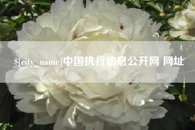 白沙中国执行信息公开网 网址