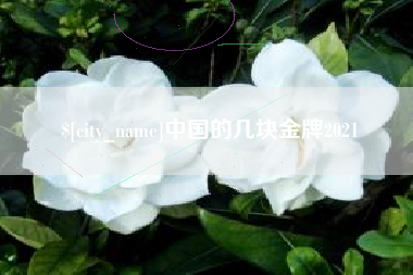 白沙中国的几块金牌2021