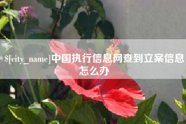 白沙中国执行信息网查到立案信息怎么办