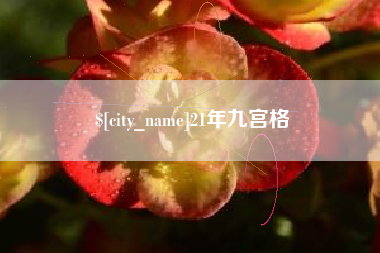 白沙21年九宫格