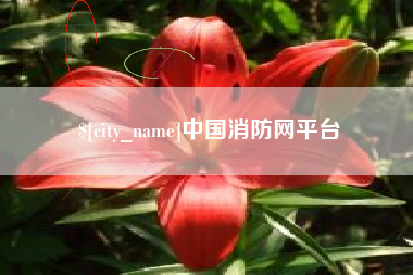 白沙中国消防网平台