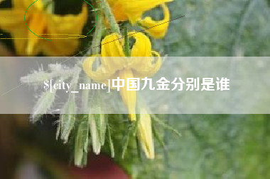 白沙中国九金分别是谁