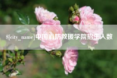 白沙中国消防救援学院招生人数
