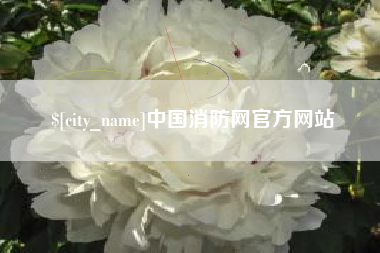 白沙中国消防网官方网站
