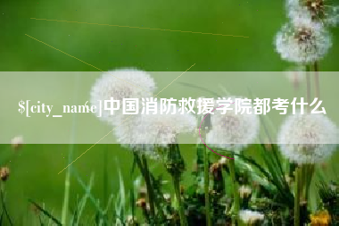 白沙中国消防救援学院都考什么