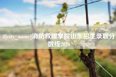 白沙消防救援学院山东招生录取分数线2020