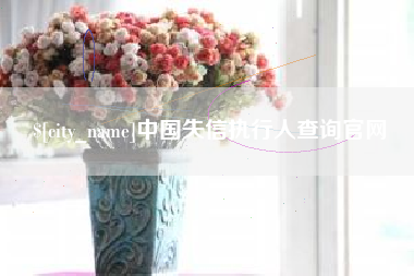 白沙中国失信执行人查询官网