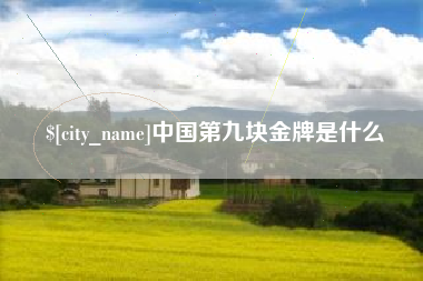 白沙中国第九块金牌是什么