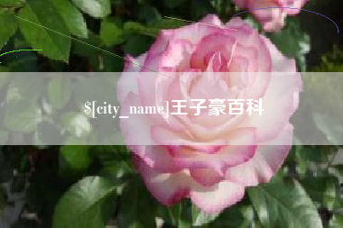 白沙王子豪百科