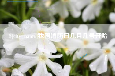 白沙我国消防日几月几号开始
