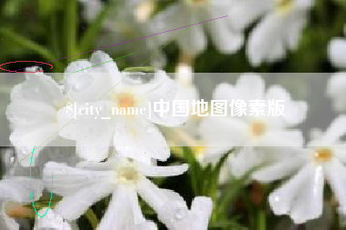 白沙中国地图像素版