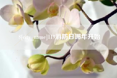 白沙119消防日哪年开始