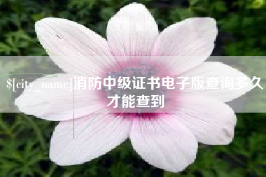 白沙消防中级证书电子版查询多久才能查到