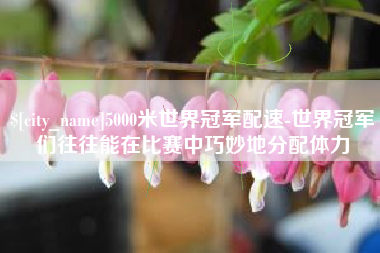 白沙5000米世界冠军配速-世界冠军们往往能在比赛中巧妙地分配体力