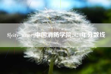 白沙中国消防学院2024年分数线