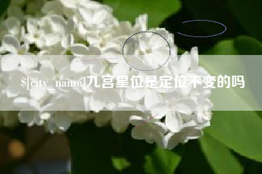 白沙九宫星位是定位不变的吗