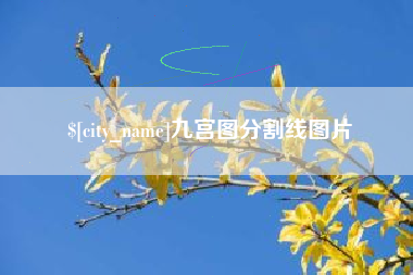 白沙九宫图分割线图片