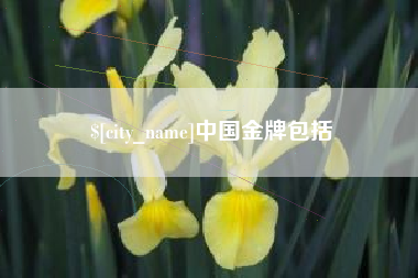 白沙中国金牌包括
