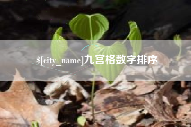 白沙九宫格数字排序