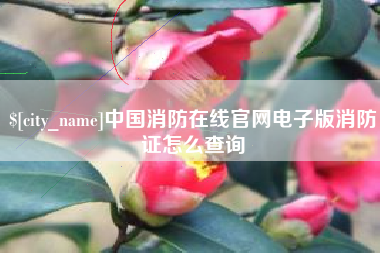 白沙中国消防在线官网电子版消防证怎么查询