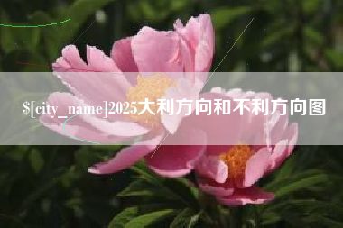 白沙2025大利方向和不利方向图