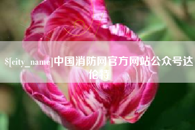白沙中国消防网官方网站公众号达伦特